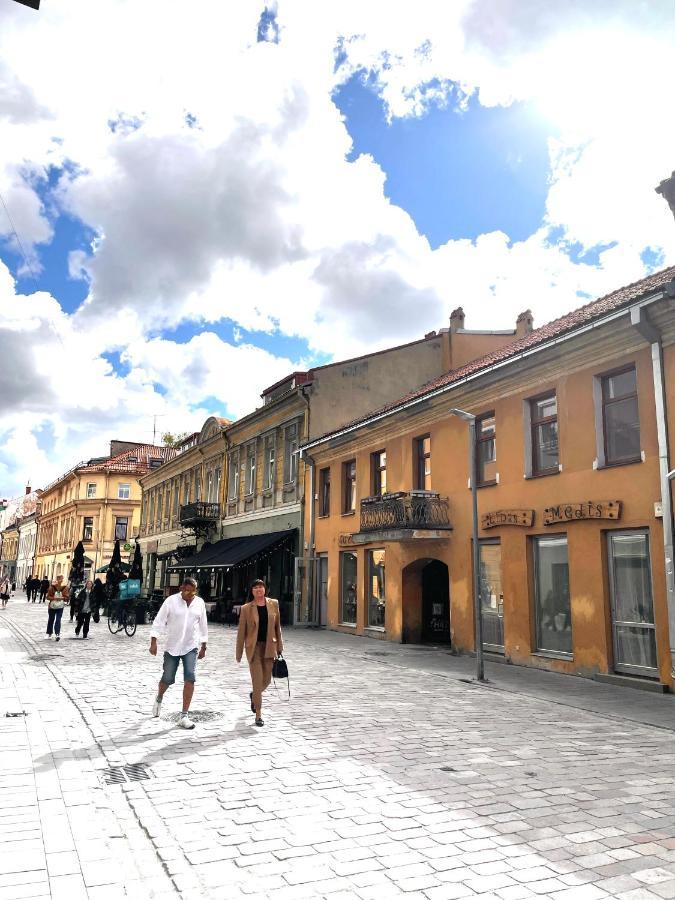 Stylish Apartment In The Heart Of Kaunas Old Town Екстер'єр фото